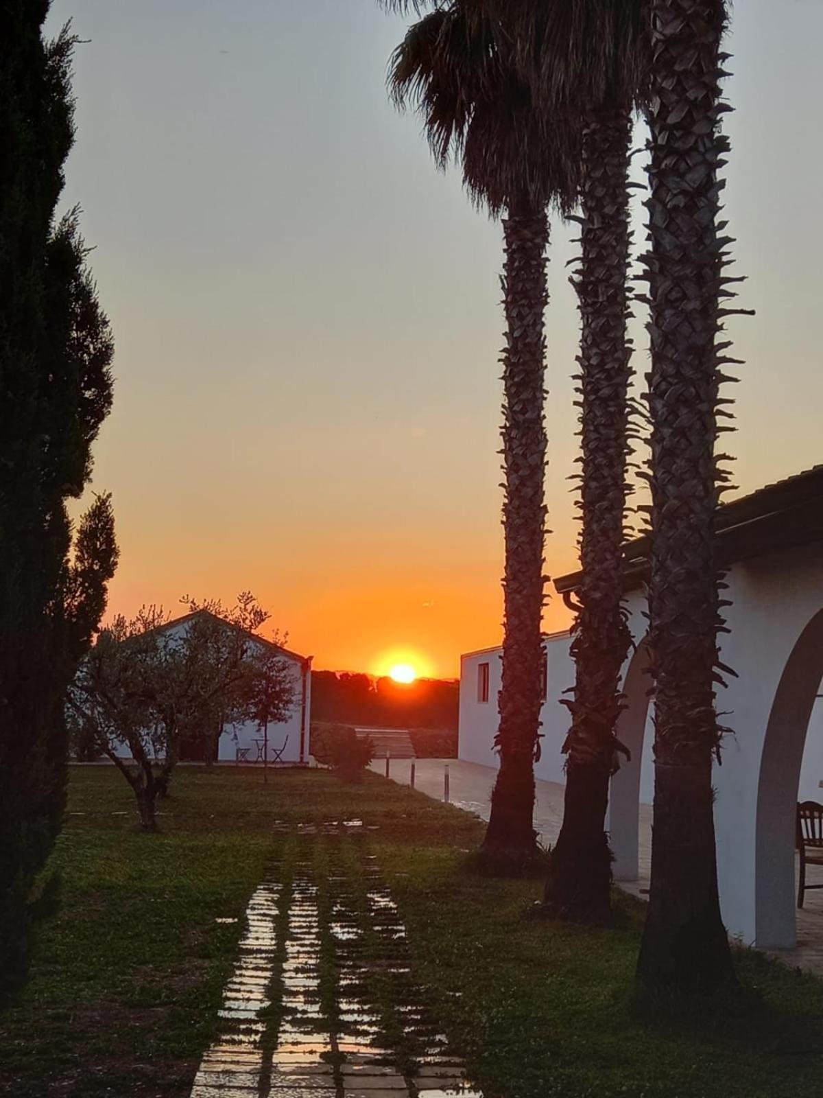 Masseria Crocco Montalbano Ionico Kültér fotó